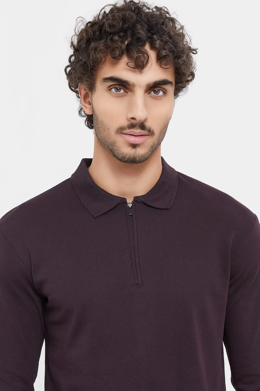 Men Purple Zip Placket Long Sleeve Polo Shirt