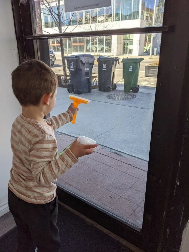 Small Spray Bottle and Squeegee